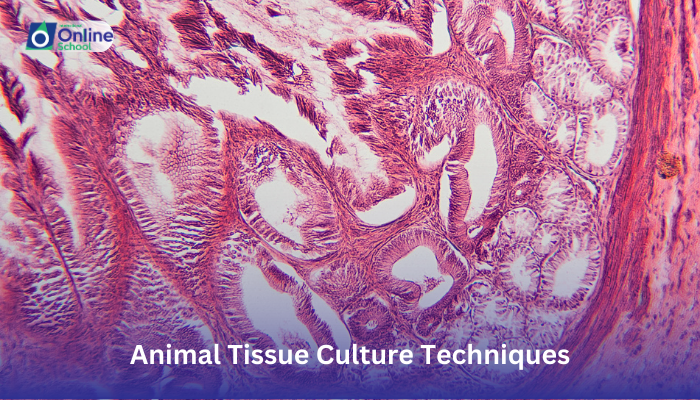 Lesson 22: Explaining Animal Tissue Culture Techniques